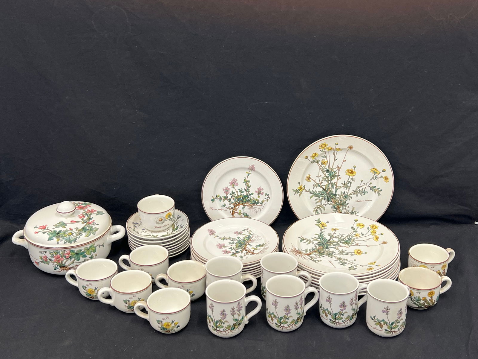 48pcs Villeroy & Boch Botanical Dish Set - (2)Casseroles w/ Lids, Platters, Jam, Set of (8)Dinner + (1 of 12)