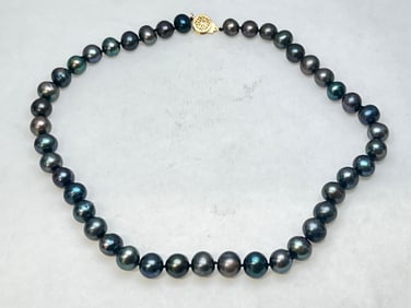 Tahitian Black Pearl Necklace 16''L, 11-12mm - High Grade Pearls w/ Goldtone Clasp