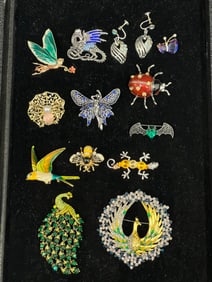 13pcs Jewelry - Rhinestone Brooches, Pins - Bumblebee Pin, Lizard, Spider, Lady Bug, Peacocks,