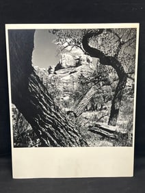 H.John Joost(1905-2004) 1977 Photo - Titled ''Thru The Cottonwood Trees'' - Joost was President &