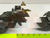 item-210869762=5
