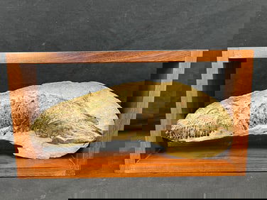 Fossilized Fish in Rosewood Frame - Green River Fossil? 6.5'' x 15.75'' - Framed 9.5'' x 17.75''