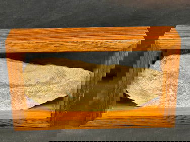 Fossilized Fish in Rosewood Frame - Green River? Fossil 4'' x 9.25''