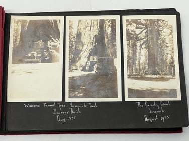 1930s Photo Album Yosemite, Santa Cruz, More - San Jose, Yosemite, Santa Cruz, Big Trees, Russian