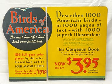 Late 1930s-40s Michael Gross Advertising Display - 2 Pc Cardboard Birds of America Audubon Societies