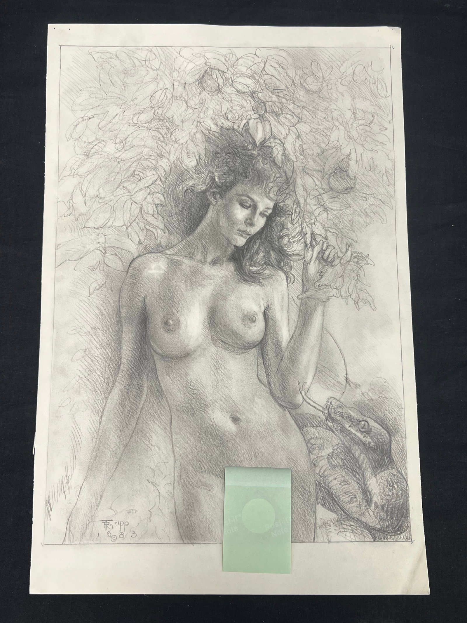 Russell Tripp (1942-2025) Pencil Drawing, Signed - Signed Lower Left 1983, ''Nude with Snake'': Russell Tripp (1942-2025) Pencil Drawing, Signed - Signed Lower Left 1983, ''Nude with Snake'' Original 11.75'' x 18''