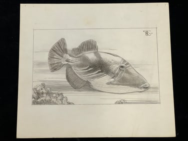 Russell Tripp(1924-2025)Original Compositional Art - Signed by CA Artist, Pencil Compositional Art