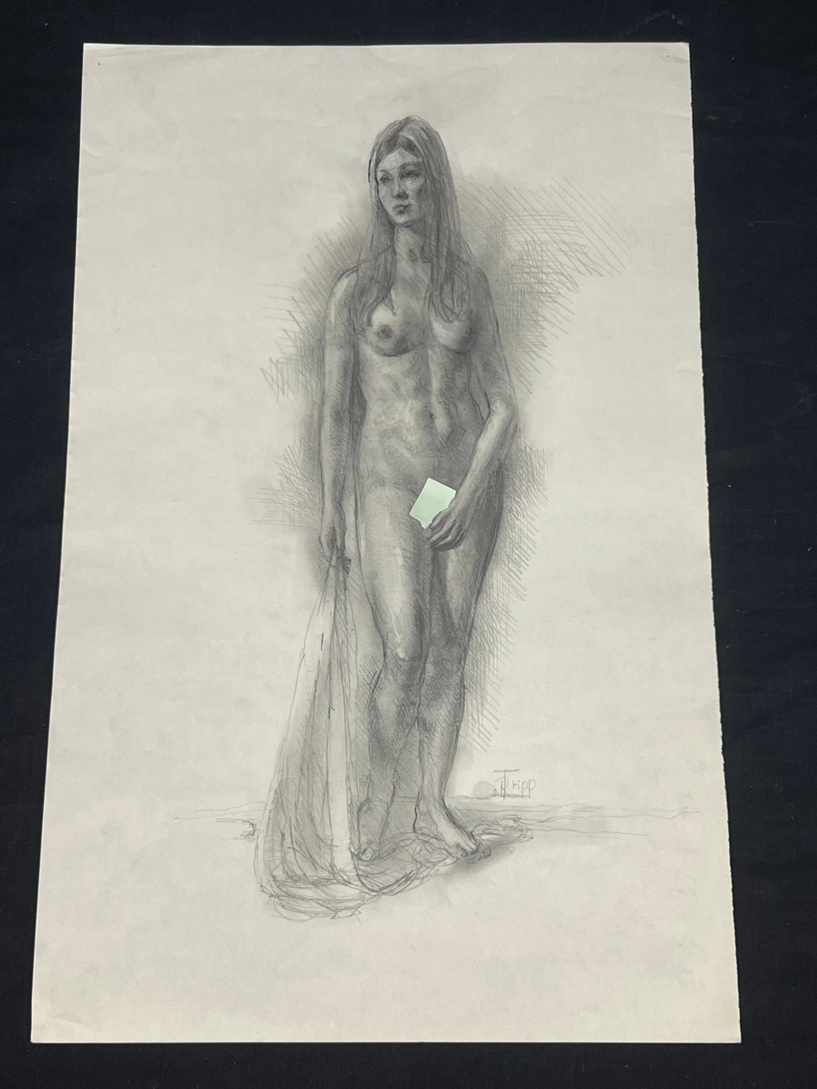 Russell Tripp(1942-2025) Nude Pencil Drawing, Signed - 12'' x 19'': Russell Tripp(1942-2025) Nude Pencil Drawing, Signed - 12'' x 19''