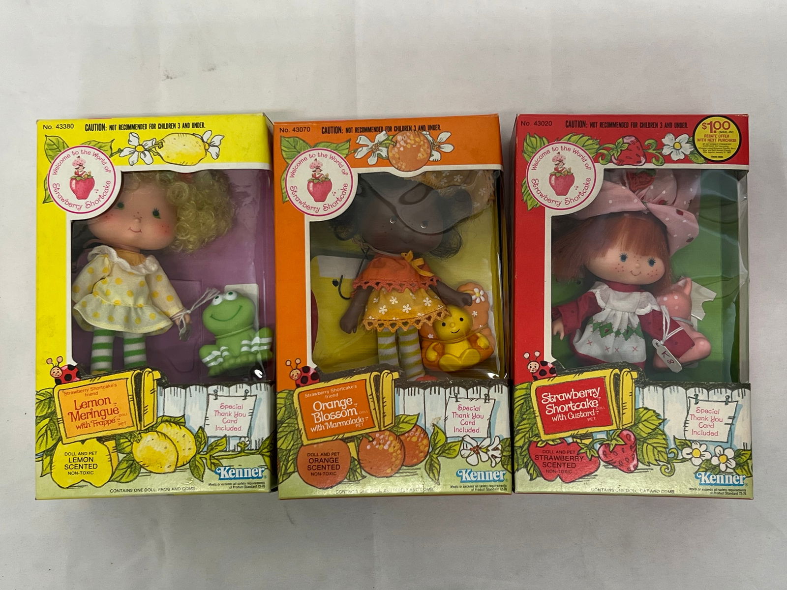 (3)1980s Kenner Strawberry Shortcake Dolls with Boxes- Orange Blossom, Lemon Meringue, Strawberry: (3)1980s Kenner Strawberry Shortcake Dolls with Boxes- Orange Blossom, Lemon Meringue, Strawberry Shortcake - All Original Boxes with Combs & Pets - #43070, 43380, 43020