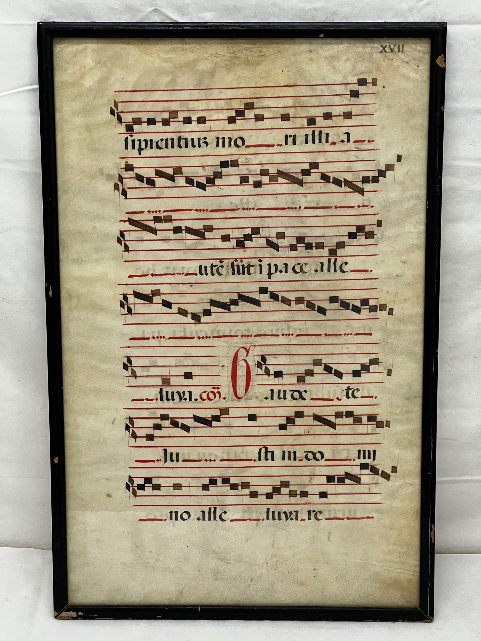 17thC Medieval Latin Vellum Sheet Music Double Sided- Framed 13.75'' x 21.5'' (1 of 3)