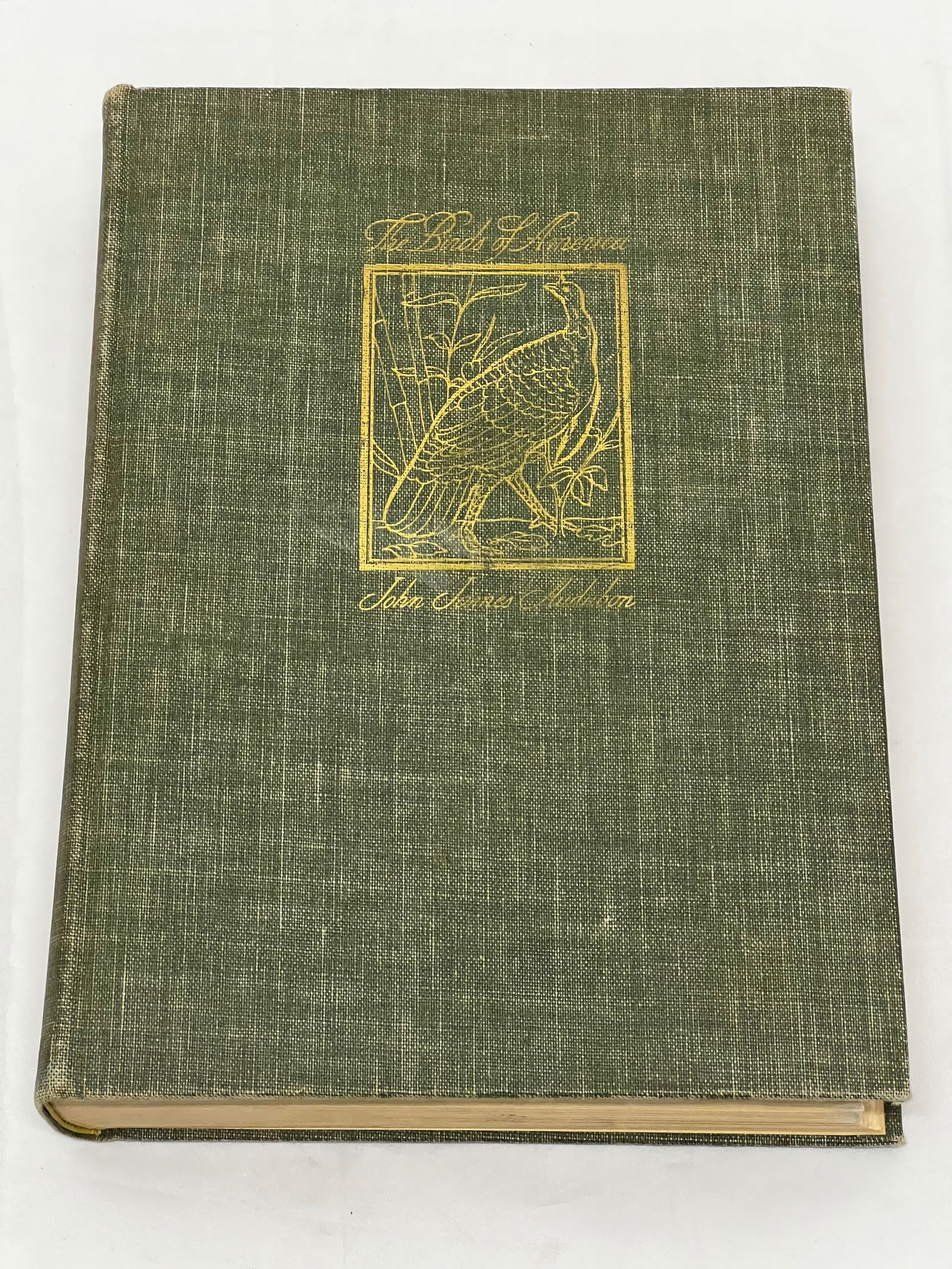 1937 John James Audubon ''The Birds of America'' - 1937 Illustrated with John Audubon Lithographs, (1 of 9)