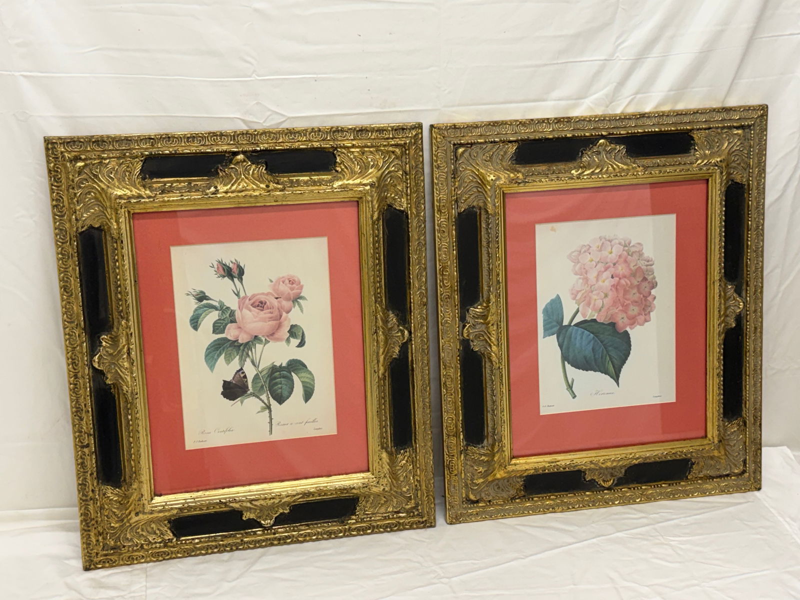(2)Pierre Joseph Redoute Botanical Framed Prints (1 of 9)