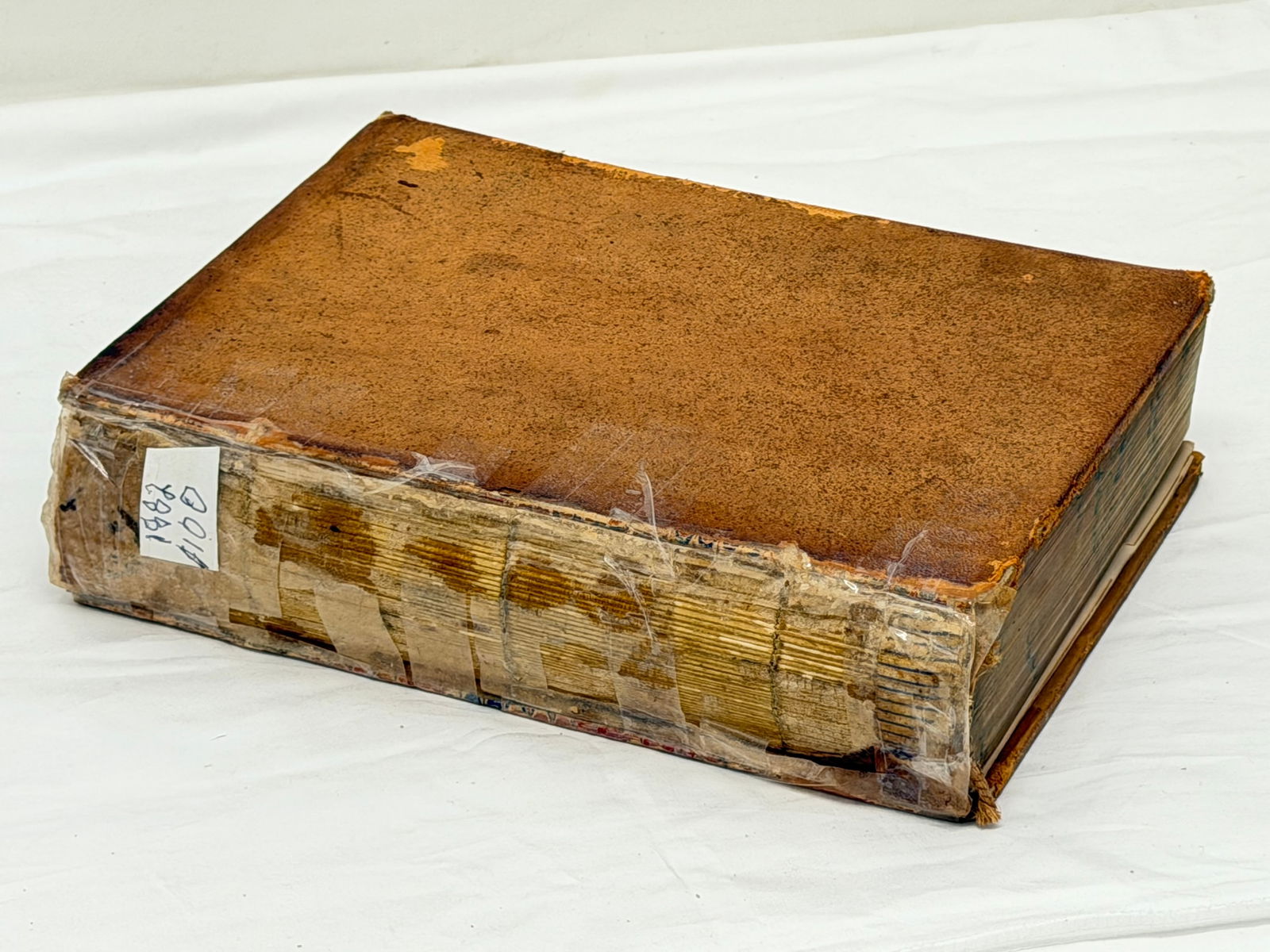 1882 The Poetical Work of Alfred Tennyson Illustrated Book - Peter & Coates: Binding Taped (See Photos)