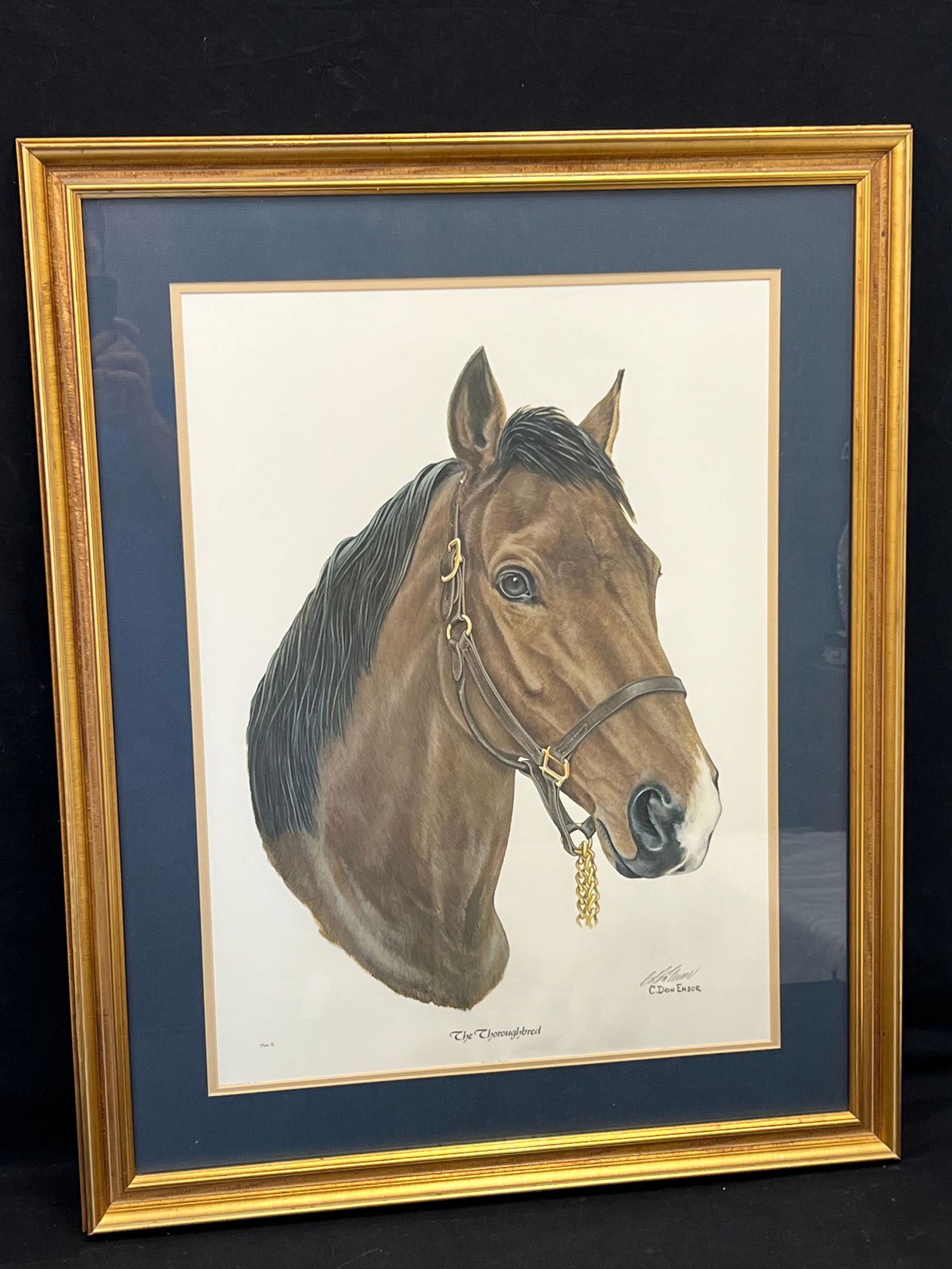 C.Don Ensor(1927-1998) Signed Horse Lithograph - Pencil Signed Plate #11 ''The Thoroughbred'' ,: C.Don Ensor(1927-1998) Signed Horse Lithograph - Pencil Signed Plate #11 ''The Thoroughbred''