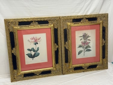 (2)Pierre Joseph Redoute Botanical Prints in Ornate Frames 17.25" x 20.25" (1 of 9)