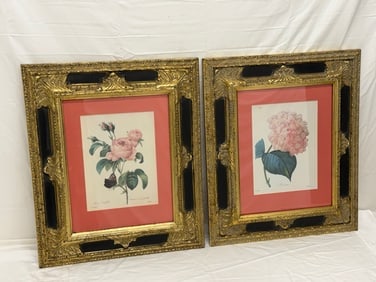 (2)Pierre Joseph Redoute Botanical Framed Prints, Framed 17.5" x 20.5" (1 of 9)