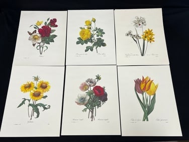 (20)Horticulture Botanical PJ Redoute Prints 11'' x 14'': (20)Horticulture Botanical PJ Redoute Prints 11'' x 14''