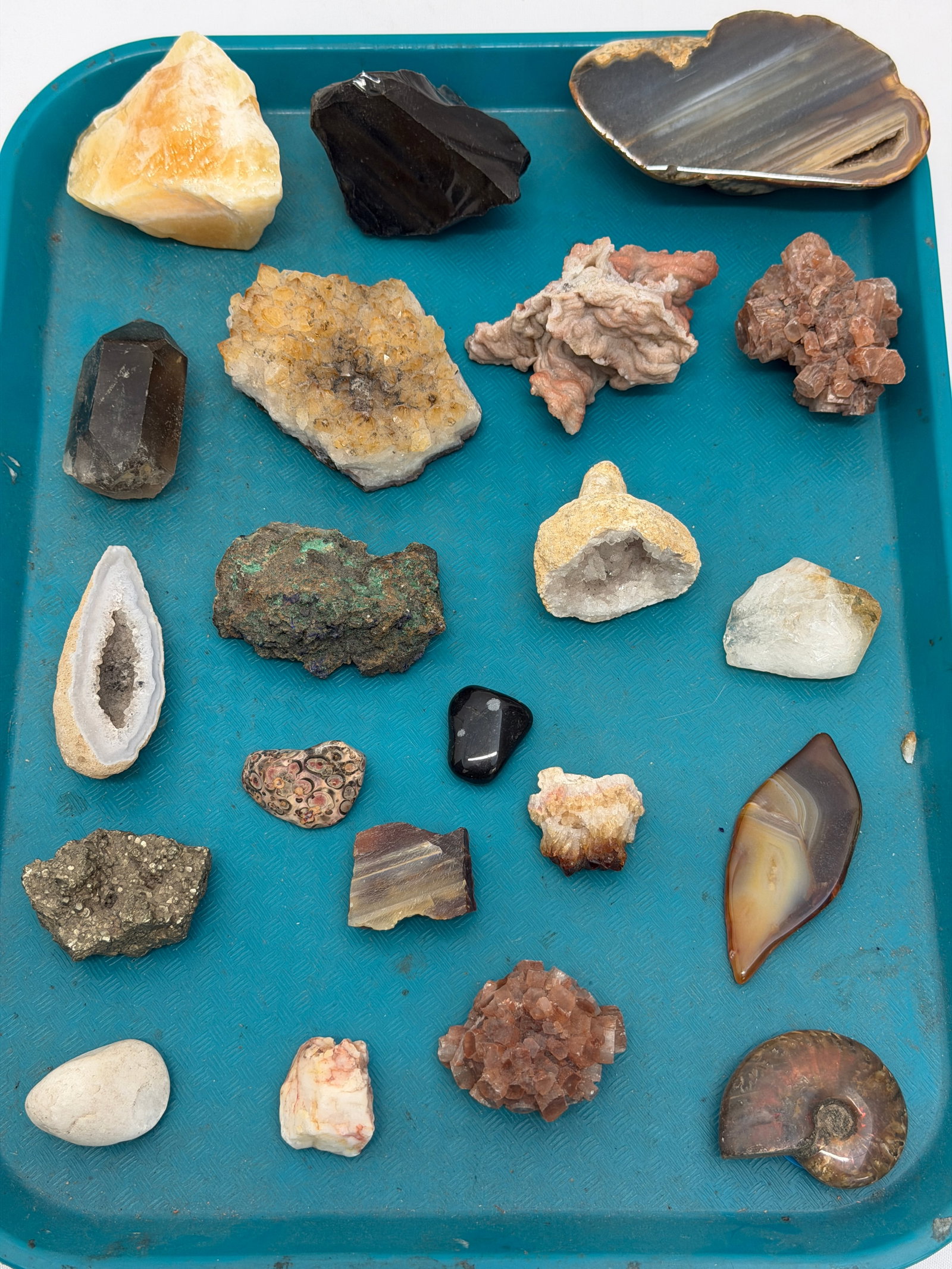 Lot of Geode Crystals, Ammonite, Obsidian, Tangerine Quartz, Pyrite, Leopard Skin & More (1 of 10)