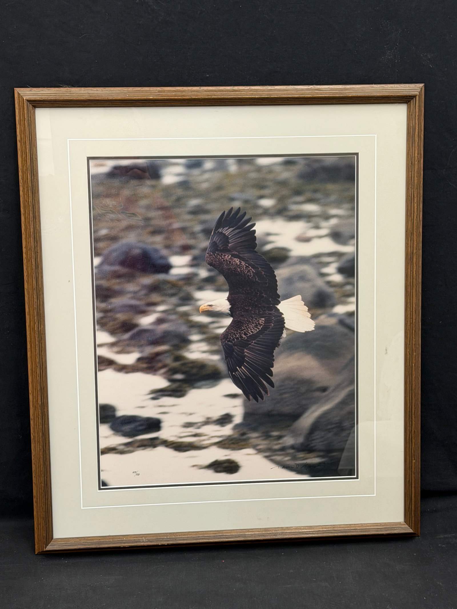 Thomas Mangelsen Signed #d Limited Ed. Photo Print of 'Bald Eagle' #479 / 950 (1 of 5)