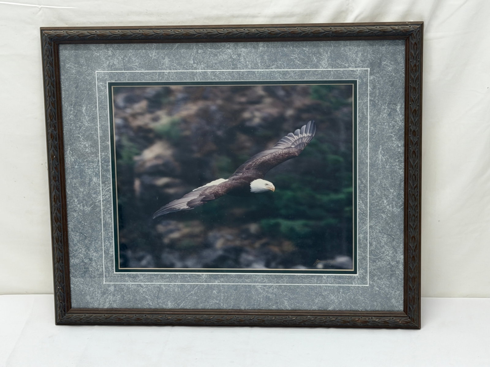 James T. Jones Signed 'Bald Eagle' Photo - Framed 17.5" x 21.75" , Sight 11" x 14": Award Winning Wildlife Photographer
