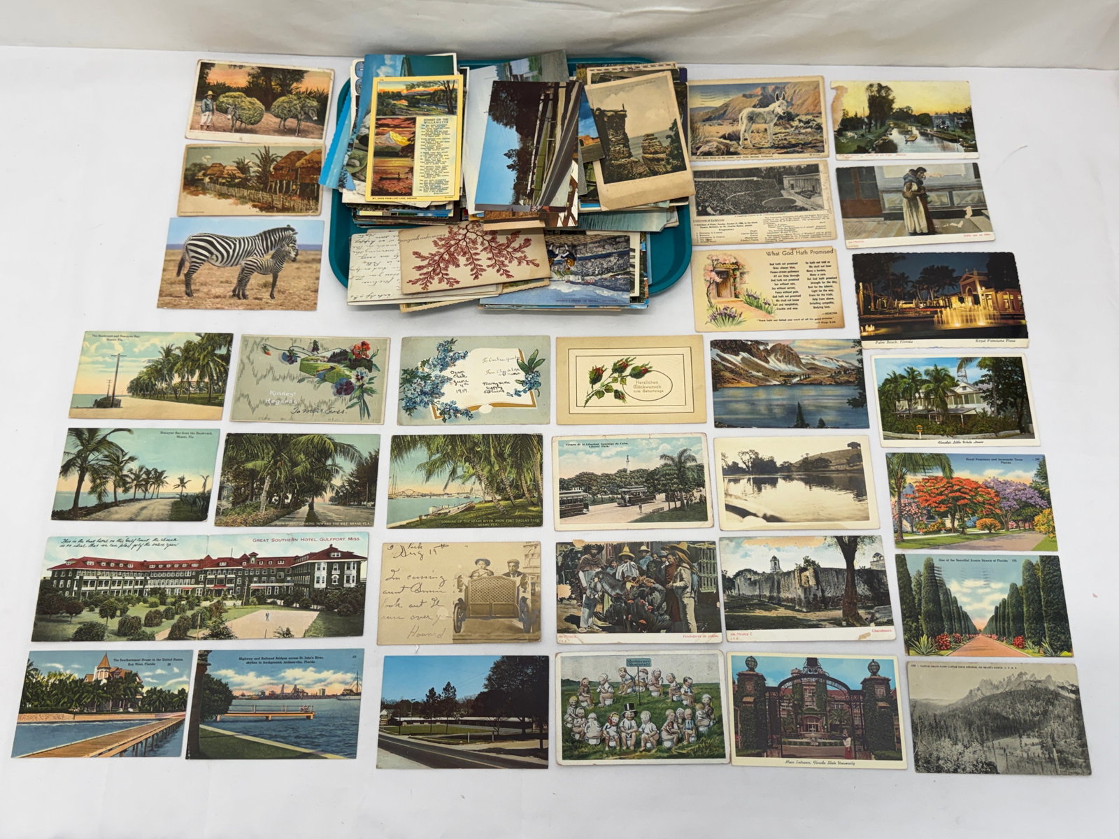(300+)Antique / Vintage Asst California & Other Postcards (1 of 16)