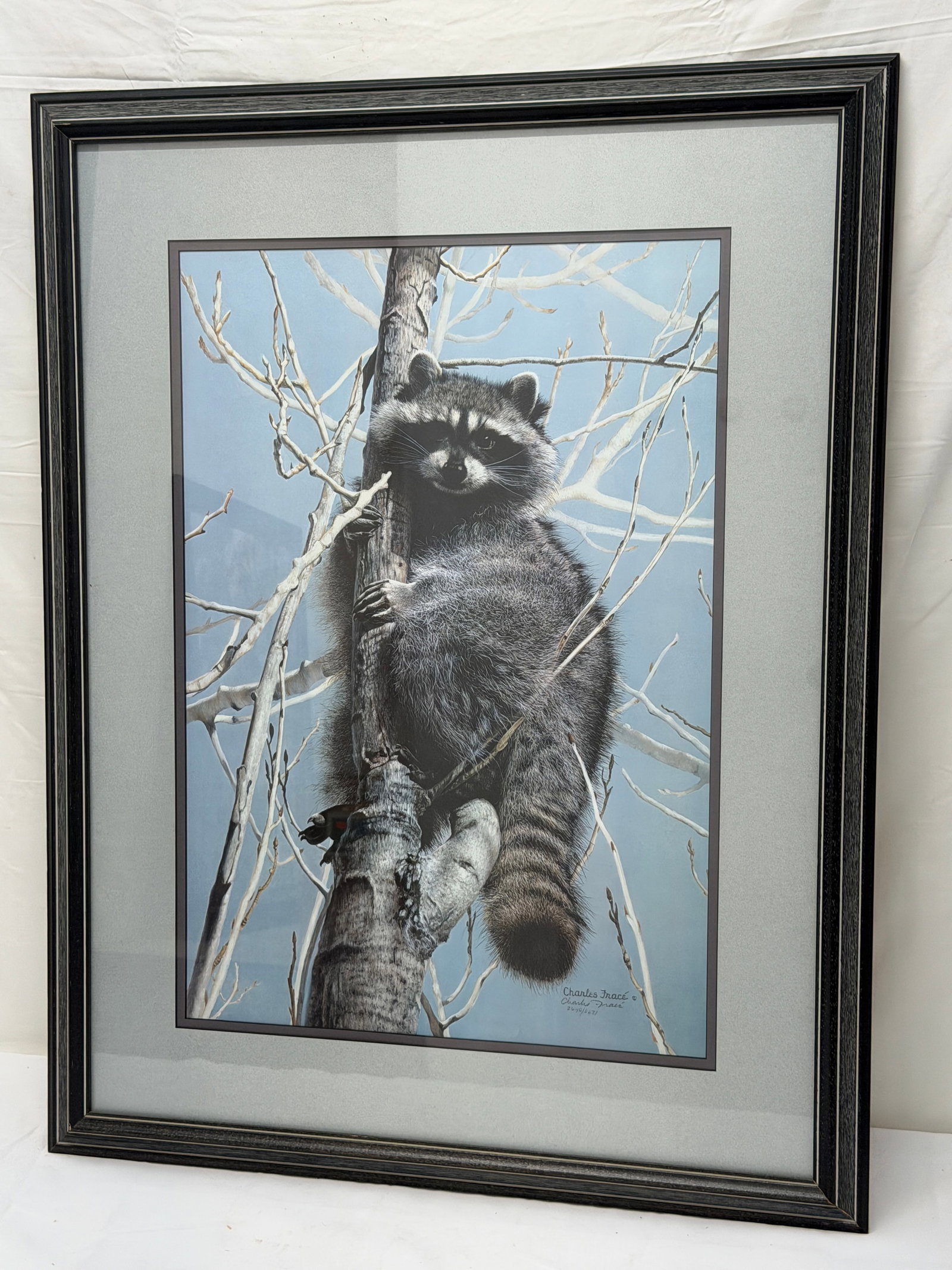 Charles Frace (1926-2005) Signed #d Limited Ed Lithograph "Bandit" Racoon Lithograph with COA (1 of 4)