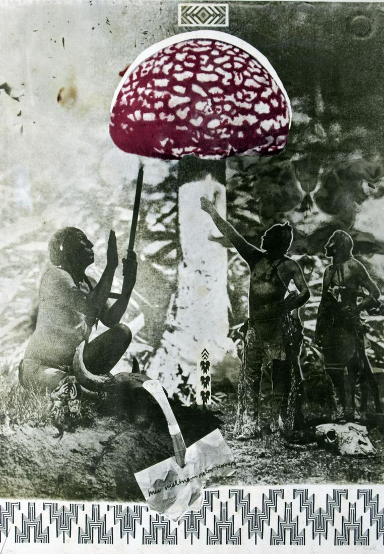 Polke, Sigmar: Fliegenpilz (1 of 1)