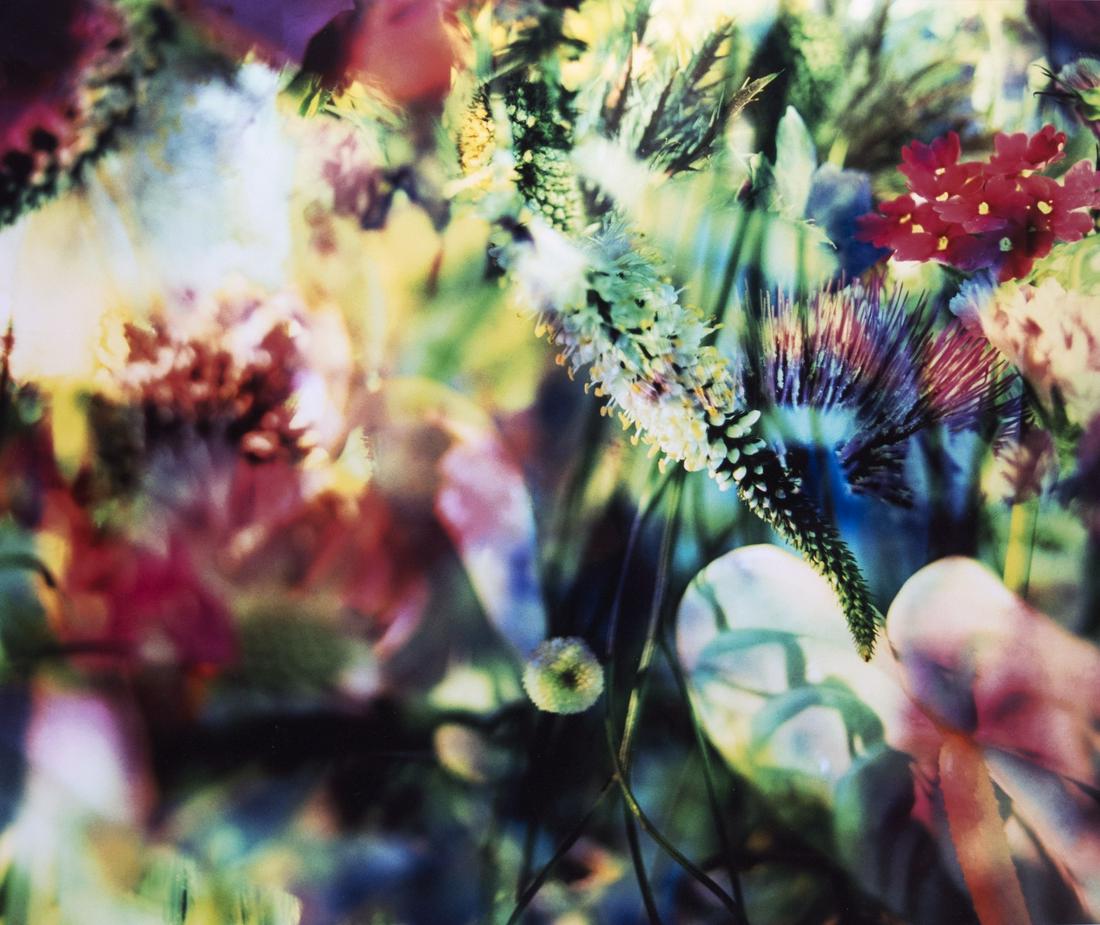 Lafontaine, Marie-Jo: Lost Paradise: Marie-Jo Lafontaine 1950 Lost Paradise C-Print, 2003; H 730 mm, W 870 mm; verso signed and numbered ''Lafontaine 65/100''; Provenance: Art unlimited