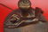 Lovely Art Nouveau Bronzed Pottery Nude Figural Lamp - 2