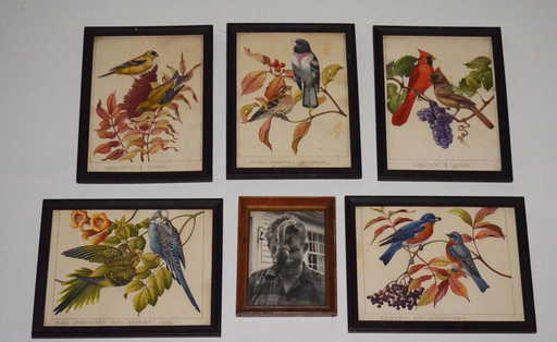5 rudolf freund bird