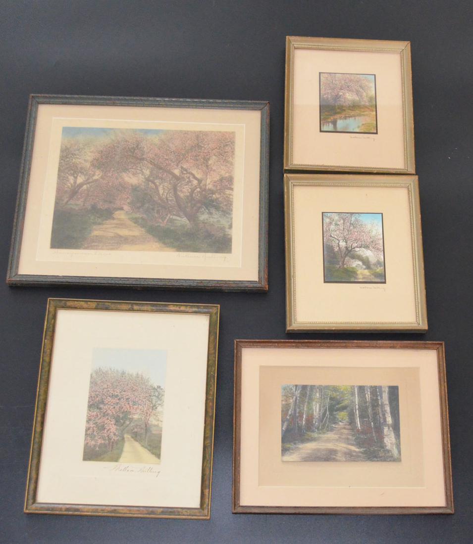 5 Antique Wallace Nutting Hand Colored Pictures (1 of 6)