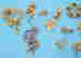 item-62603646=2