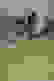 item-65175745=2