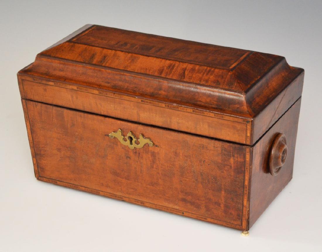 Stunning Antique Tea Caddy (1 of 5)