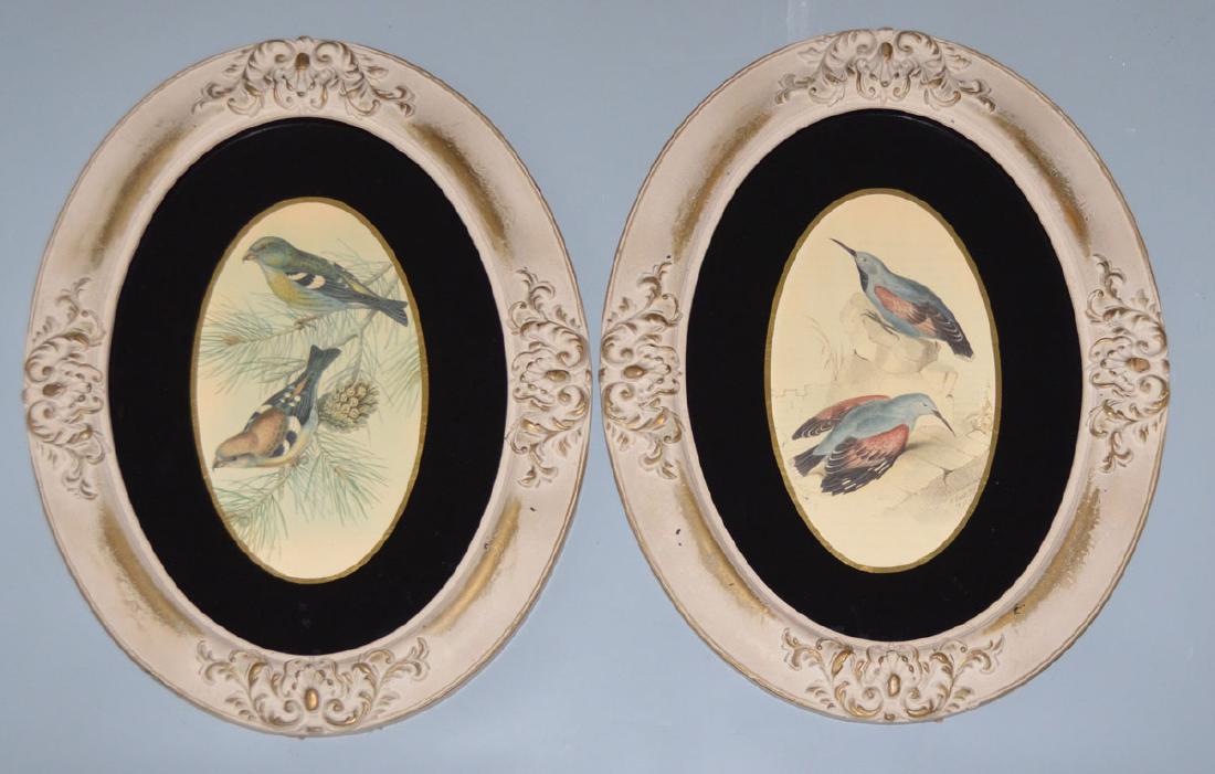 2 Edward Lear Bird Lithographs in Oval Frames: 2 Edward Lear hand colored lithographs in oval frames. Frames: 24.5" x 18.5" image sight: 13 1/8" x 7.25"