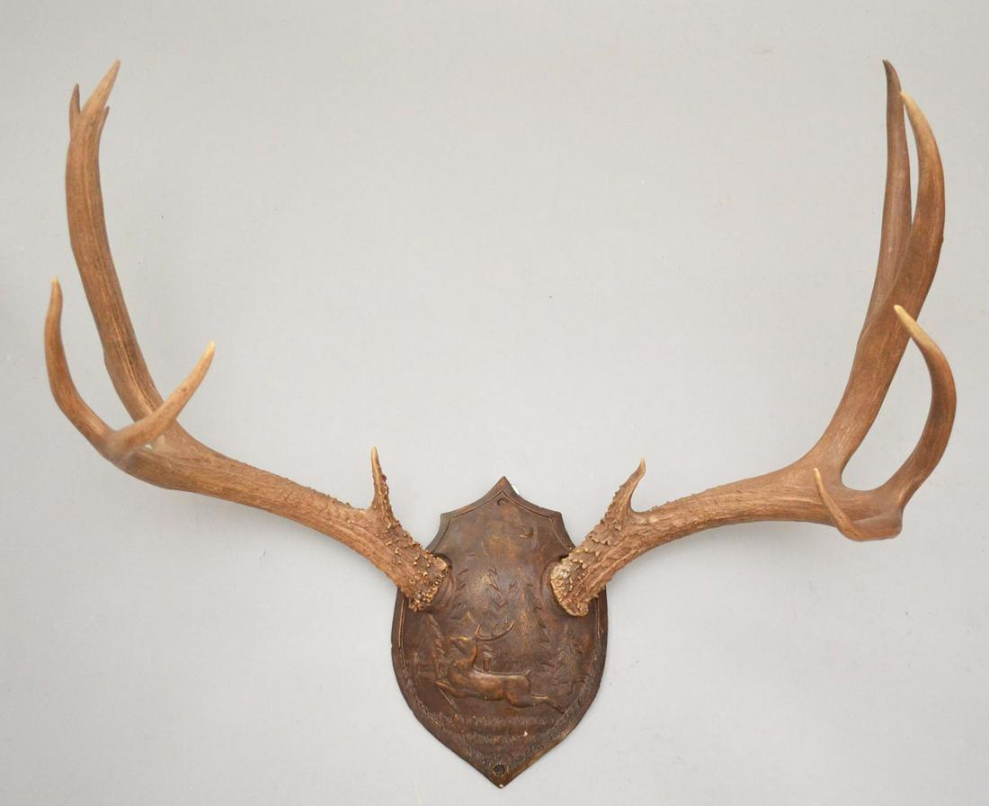 Great Pair of Shield Mounted Antlers (1 of 2)