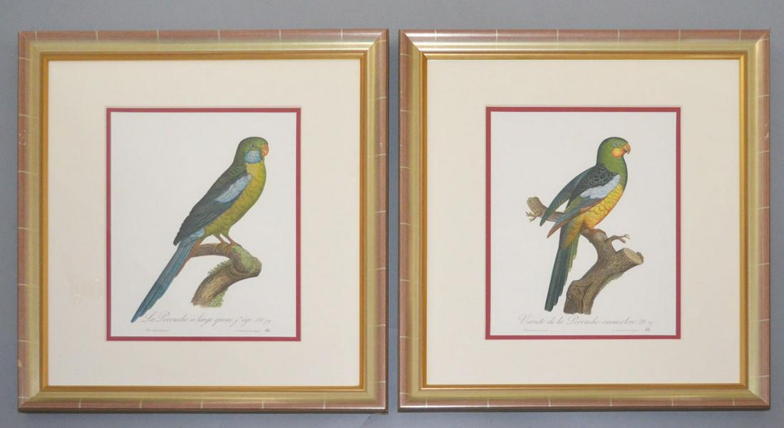 Pair of Custom Framed Parrot, Bird Prints (1 of 3)