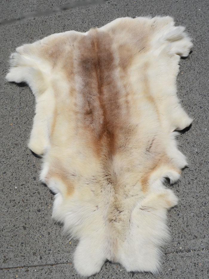 Nice Reindeer Hide Wall Hanging (1 of 3)