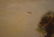 Large O/C Painting Signed A. Carter After JMW Turner - 5
