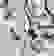 item-89907253=3