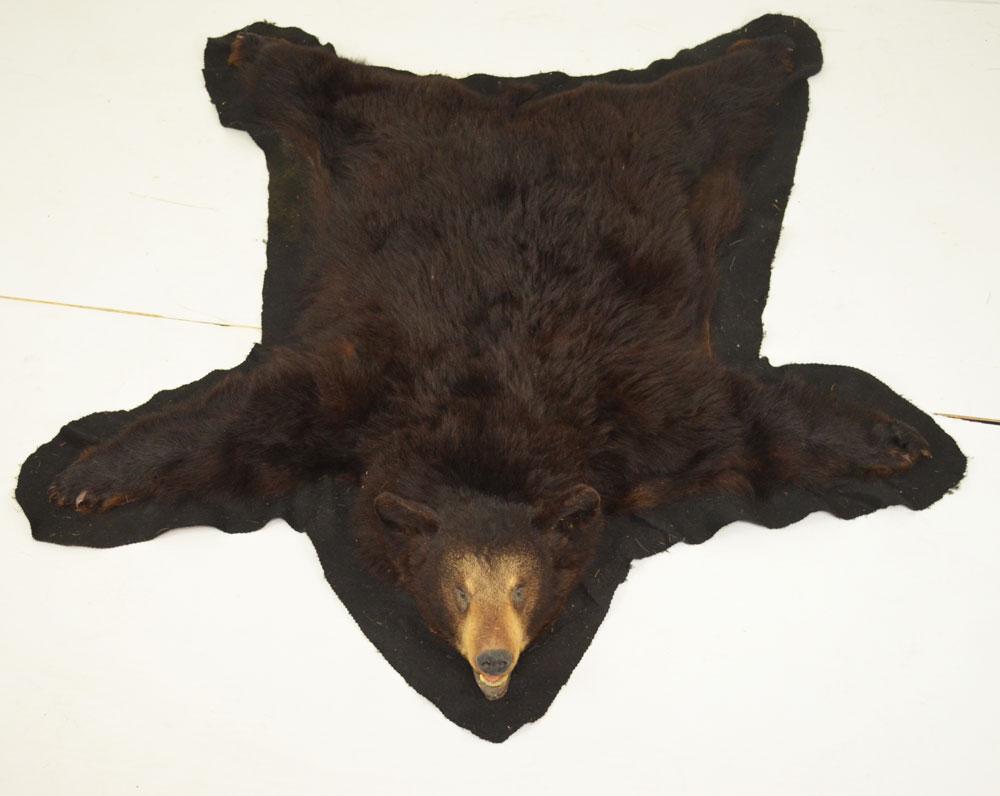 The Coolest Mounted Head Older Black Bear Rug (1 of 5)