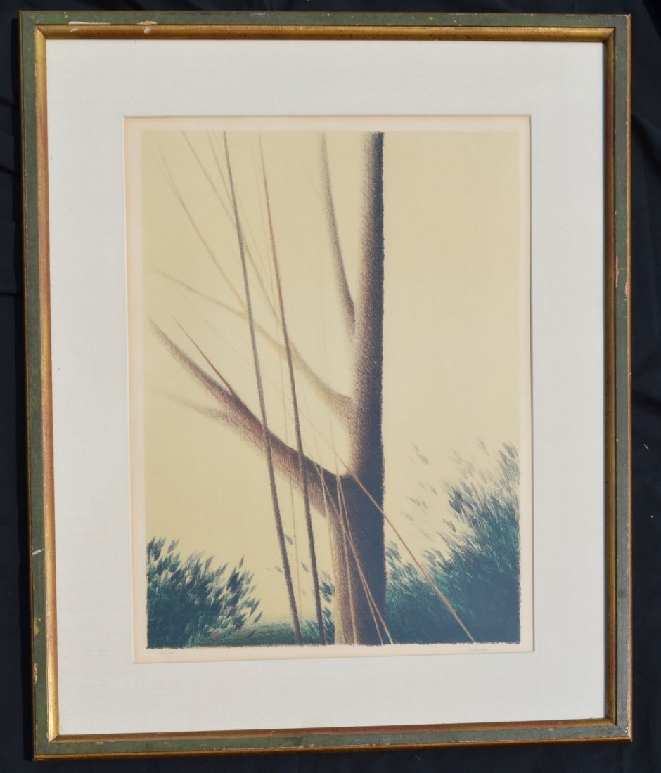 Signed & Numbered Robert Kipniss: Pencil signed and numbered 6/75. Frame: 22 5/8" x 28.5" image sight: 21" x 15"