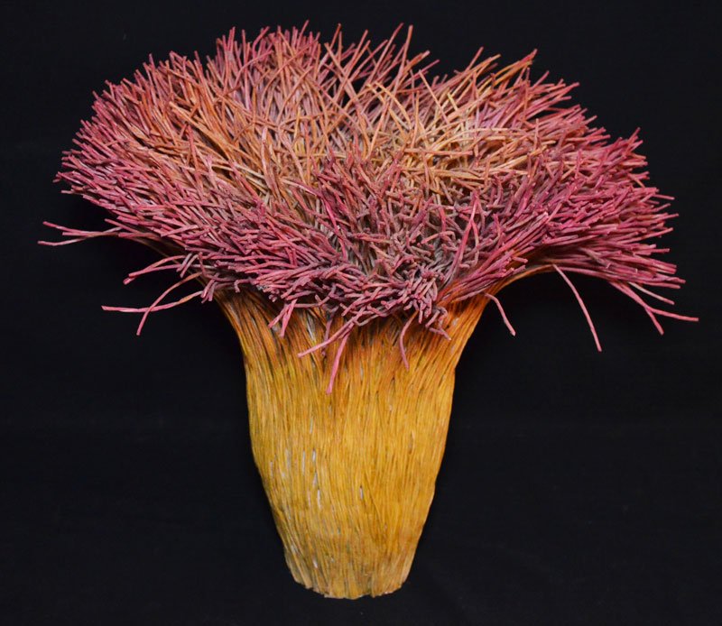 Signed Mary Merkel Hess Pink Tip Fiber Art Reed Basket (1 of 3)