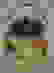item-40147728=2