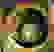 item-40147730=6