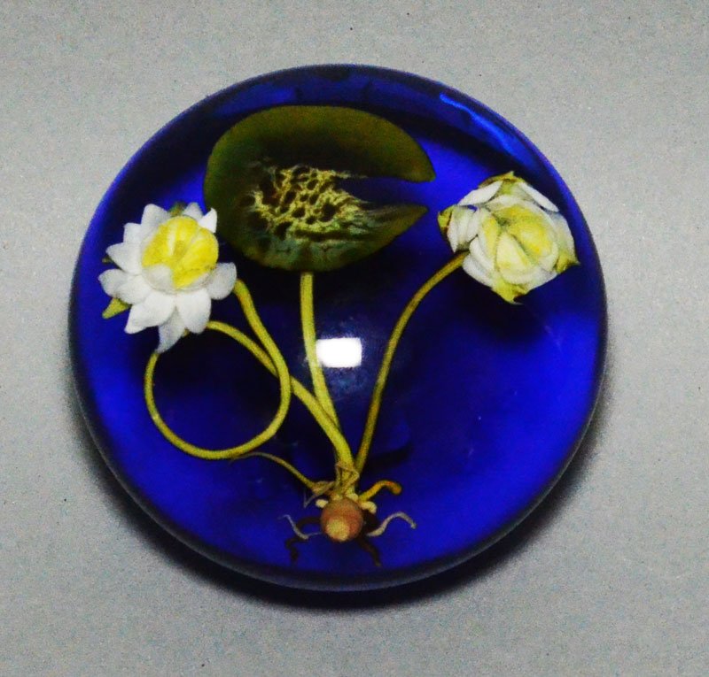 Paul Stankard Waterlillies Paperweight (1 of 3)