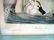 263: After John James Audubon (American, 1785-1851 - 4