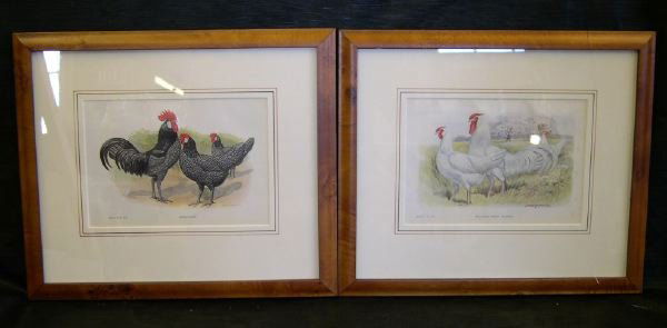 After Edwin Megargee (American, 1883-1958): After Edwin Megargee (American, 1883-1958) "Roosters", pair of offset chromolithographs depicting Rose-Comb White Minorcas and Andalusians, sight 3-1/2" x 7-1/2", each litho-signed and dated lower rig