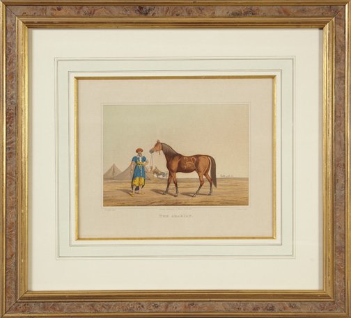 Henry Alken (British, 19th Century): Henry Alken (British, 19th Century) "The Arabian", offset lithograph, a copy of a scarce original aquatint, sight 11-1/2" x 14". Glazed, matted and framed.