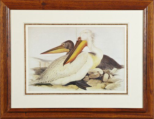 After Edward Lear (British, 1812-1888): After Edward Lear (British, 1812-1888) "Pelicans", offset chromolithograph, sight 15" x 21-1/2". Glazed, French matted and presented in a handsome hardwood frame.